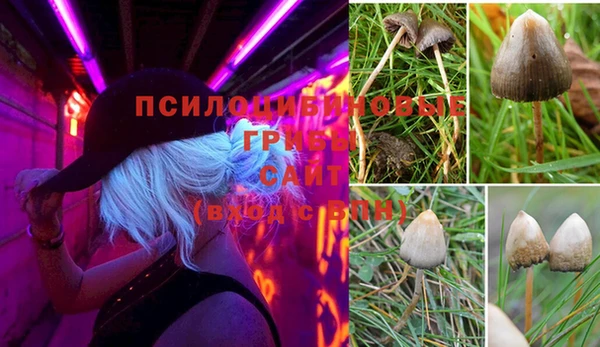 спиды Богородицк