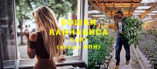 спиды Богородицк