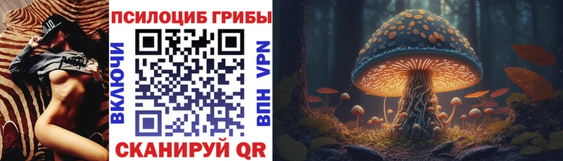 кракен как зайти  Балтийск  Галлюциногенные грибы Magic Shrooms 